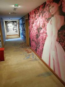 平顶山未来精品酒店（原未来商务快捷酒店）预订指南 价格、点评、电话及地址